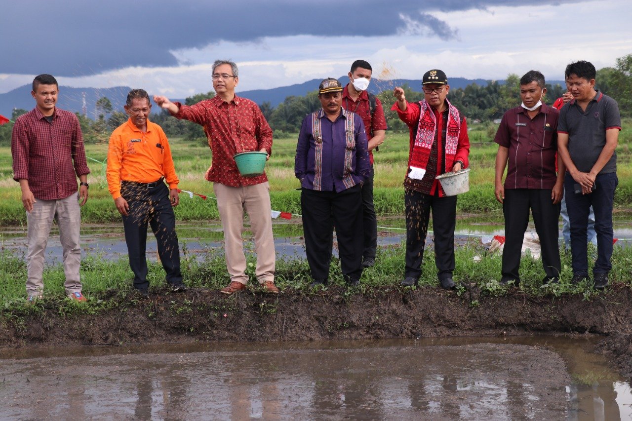 Anggota DPR RI Sihar Sitorus Bantu Benih Padi dan Beras pada Warga Desa