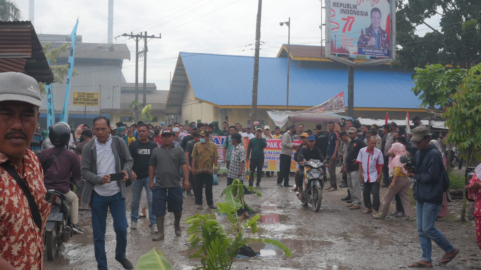 Ratusan Warga Panai Hulu Labuhanbatu Tanam 1000 Pohon di Tengah Jalan