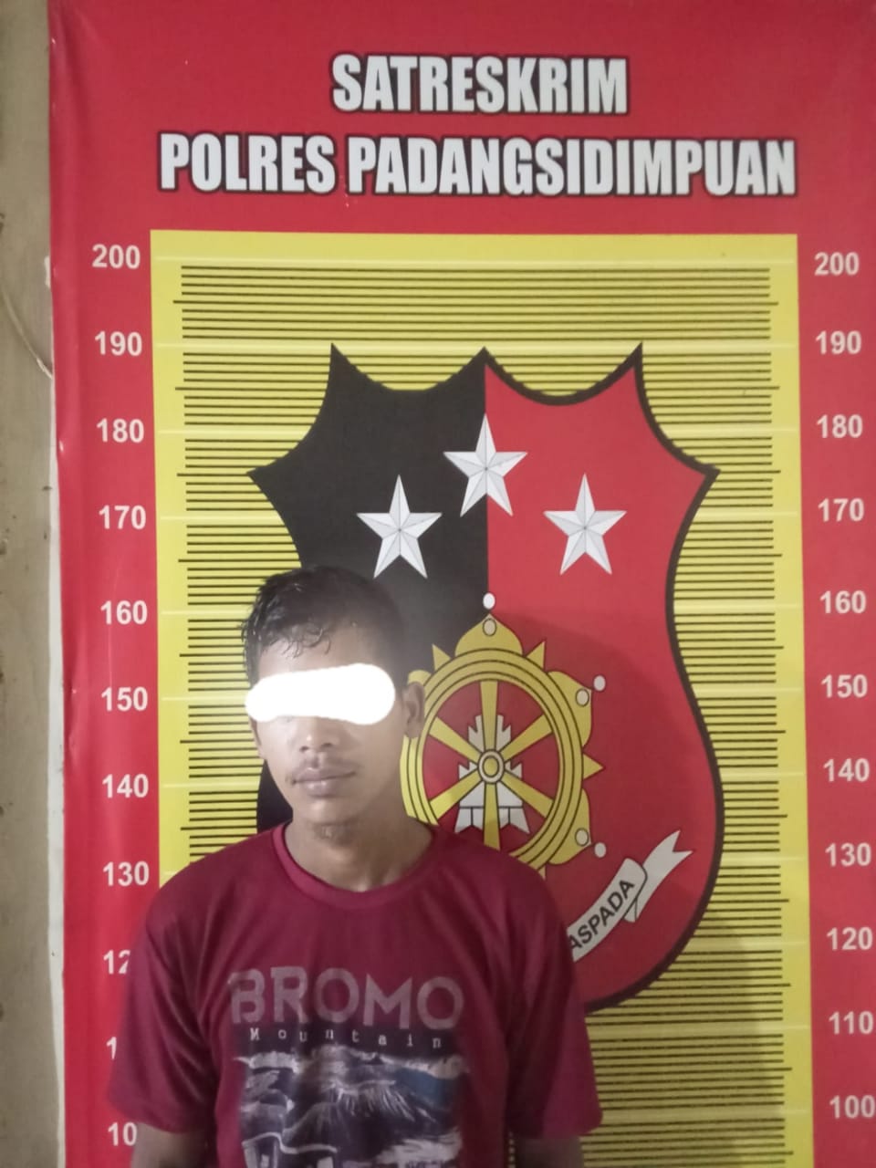 Kabur Gegara Penggelapan, Pria Warga Tapsel Berhasil di Bekuk Polres P.Sidempuan 