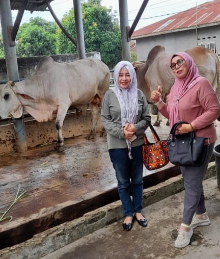 Rayakan Idul Adha1444 H, IKAL SMAN 6 Medan Sembelih 7 Lembu