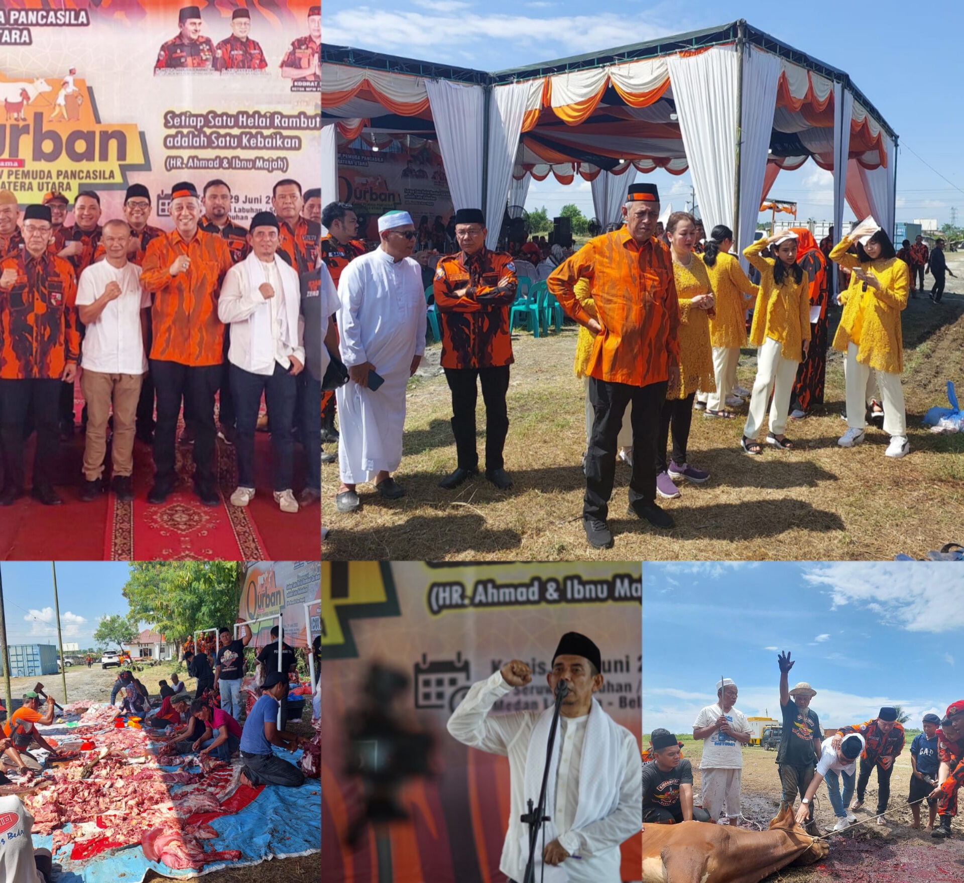 Hari Raya Idul Adha 1444, MPW Pemuda Pancasila Sumut Potong 18 Hewan Qurban,  Dibagikan Panti dan Masyarakat Kurang Mampu