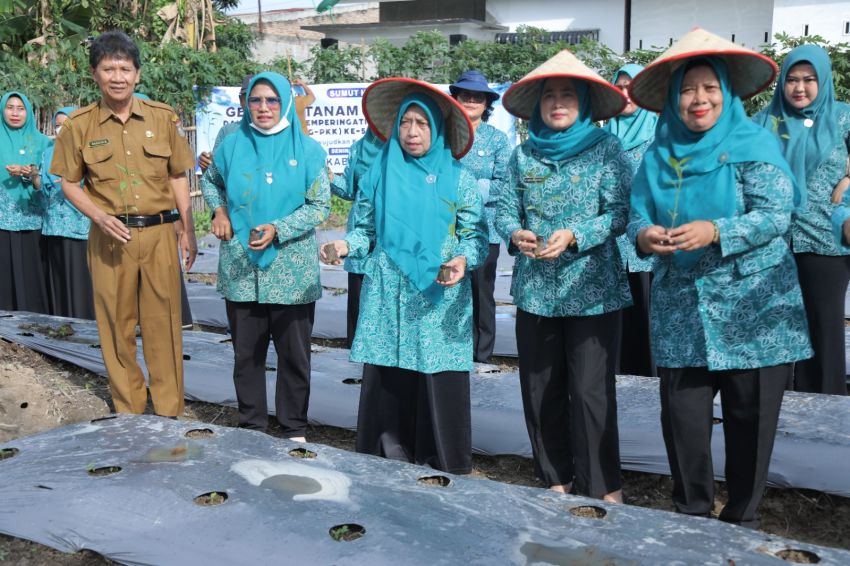 Haja Titiek Sugiharti Surya Tanam Cabai Dengan Ibu PKK