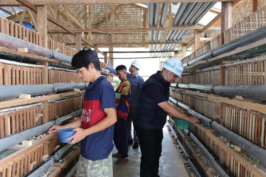Inalum Meluncurkan Program Meningkatkan Perekonomian Lokal