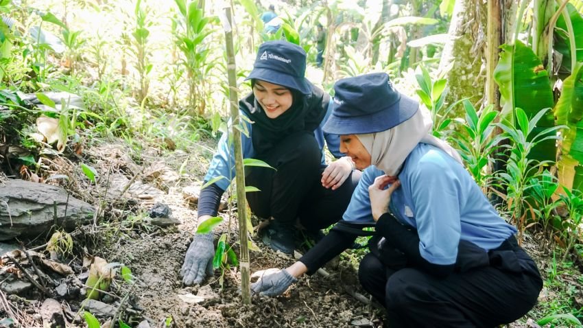 Inisiatif Hijau TÜV Rheinland Indonesia Bersama Perhutani: Penanaman 200 Pohon untuk Masa Depan Berkelanjutan