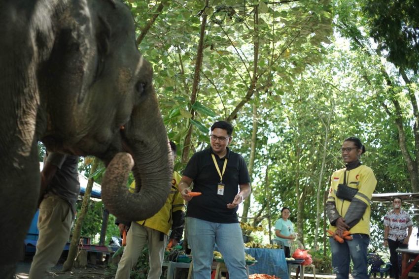 Maxim Merawat Binatang di Medan Zoo