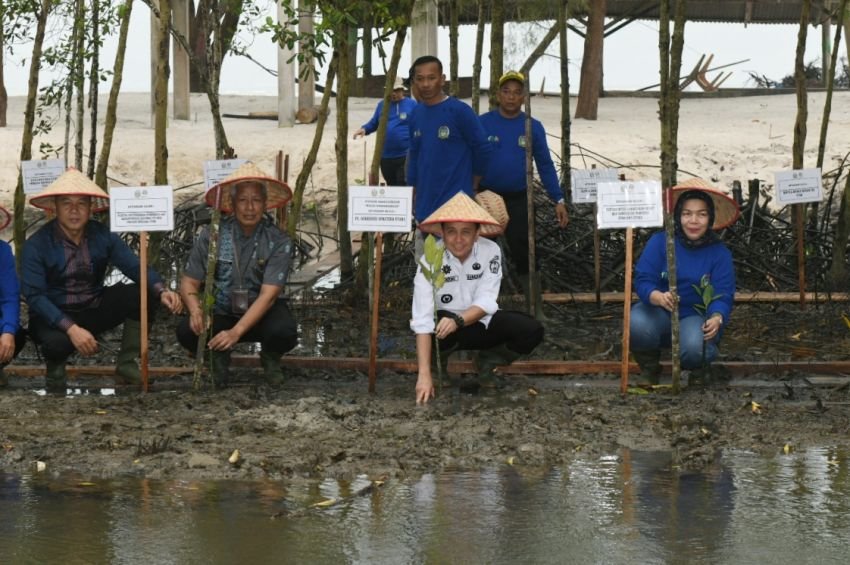 Peringati Hari Menanam Pohon, Pj Gubernur Sumut Fatoni Tanam Pohon Mangrove yang Diberkati Paus Fransiskus di Pantai Romantis