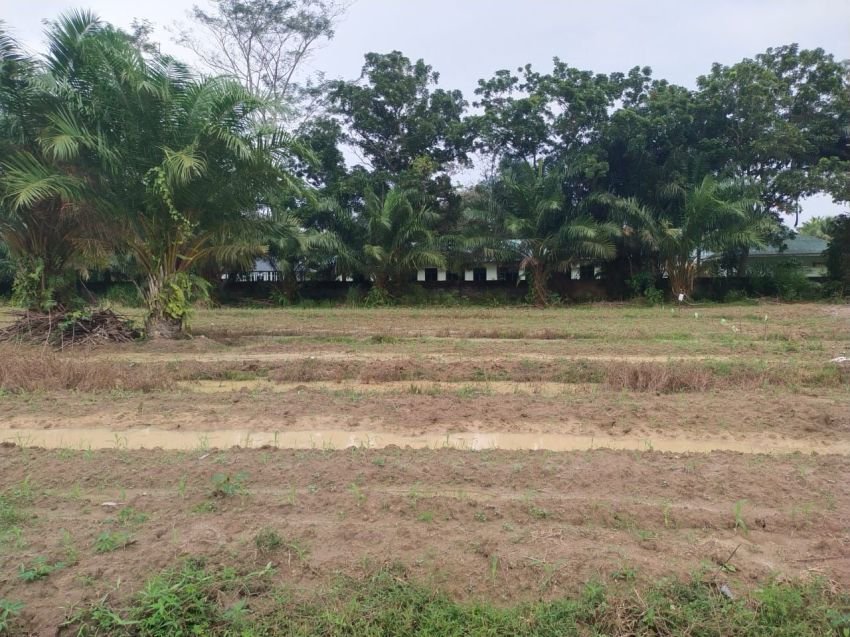 Dukung Program Pemerintah Ketahanan Pangan, Polresta Deli Serdang siap turut gelar Penanaman jagung serentak
