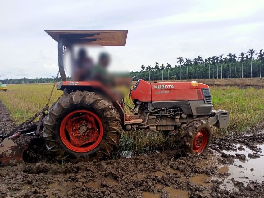 Terlindas Traktor, Petani di Pantai Labu Tewas