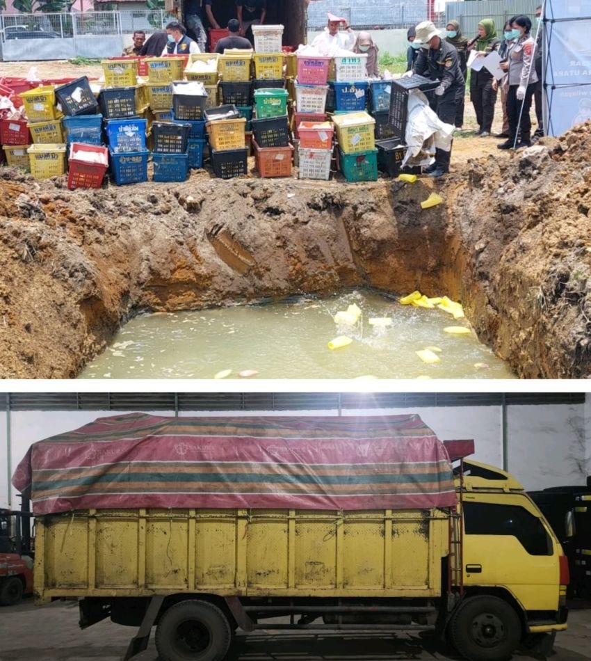 Polda Sumut Amankan Truk Pengangkut Mangga Ilegal Asal Thailand di Jalan Tol Amplas