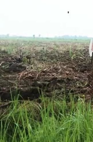 APH Harus Serius Usut Dugaan Jual Beli Lahan Eks PTPN II Oleh Oknum Anggota Dewan