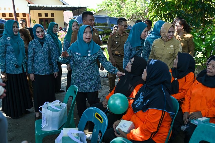 Wakil Ketua Tim Pembina Posyandu Sumut  Kunjungi Layanan Kesehatan di Langkat