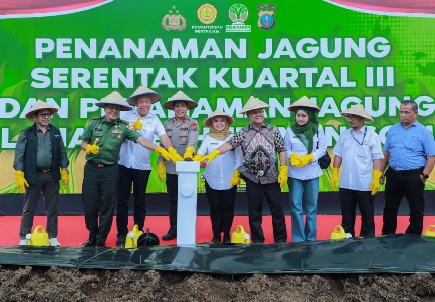 Polda Sumut Tanam Jagung Serentak, Targetkan 24 Ribu Ton Demi Swasembada Pangan 2025