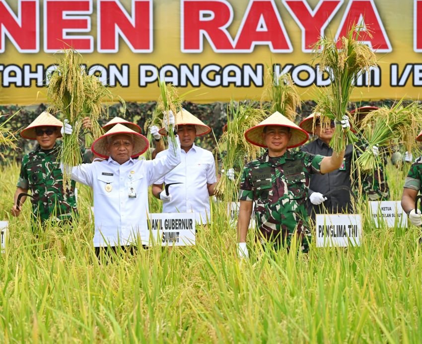 Wagub Sumut Bersama Panglima TNI Panen Raya Padi di Deliserdang