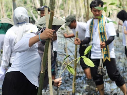 Hari Mangrove Sedunia 2025,  Mangrove Education Tanam Pohon di Kampung Nipah Sergai