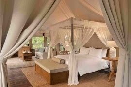 Dusit Membawa Visi Keberlanjutan 'Pohon Kehidupan' ke Chiang Rai