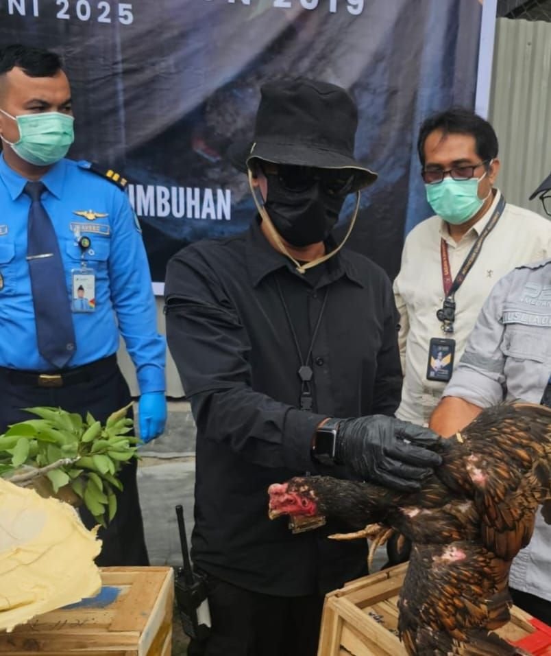 Katim Gakkum Karantina Sumut : Karantina tidak Menutup Pelayanan, Asalkan Jelas Asal Usul Ayam