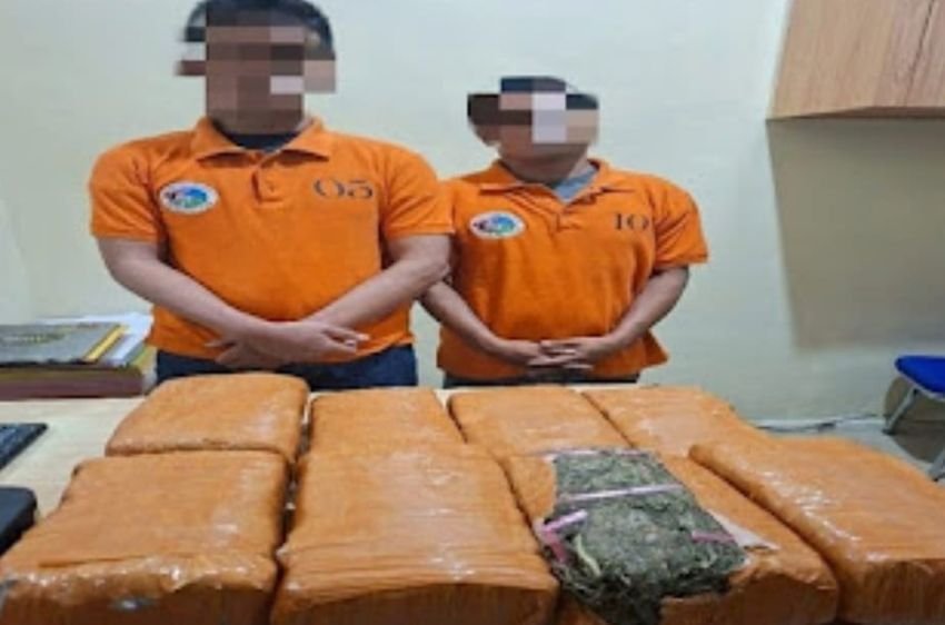 Sat Narkoba Polres Pelabuhan Belawan Gagalkan Peredaran 13 Kg Ganja, 2 Bandar Ditangkap
