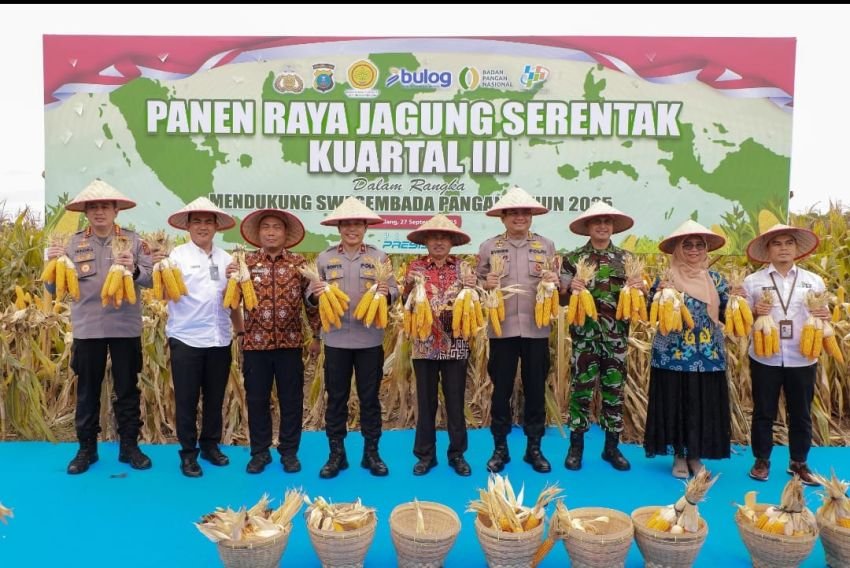 Panen Raya Jagung Kuartal III: Polda Sumut Komitmen Wujudkan Swasembada Pangan