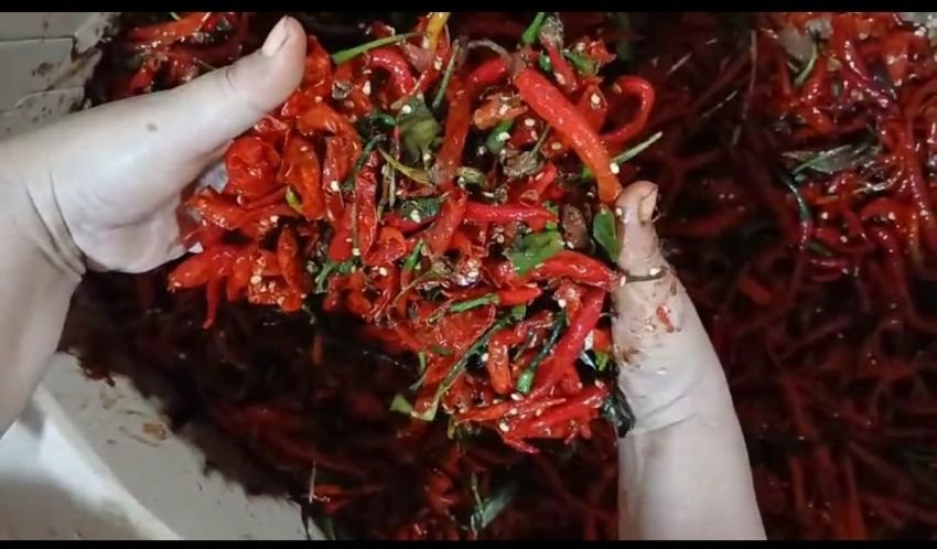 Pedagang Pasar Petisah Tolak Distribusi Cabai Merah Dari BUMD Sumut, Dijual Rp35 Ribu/Kg: Ini Mematikan Usaha Kami!