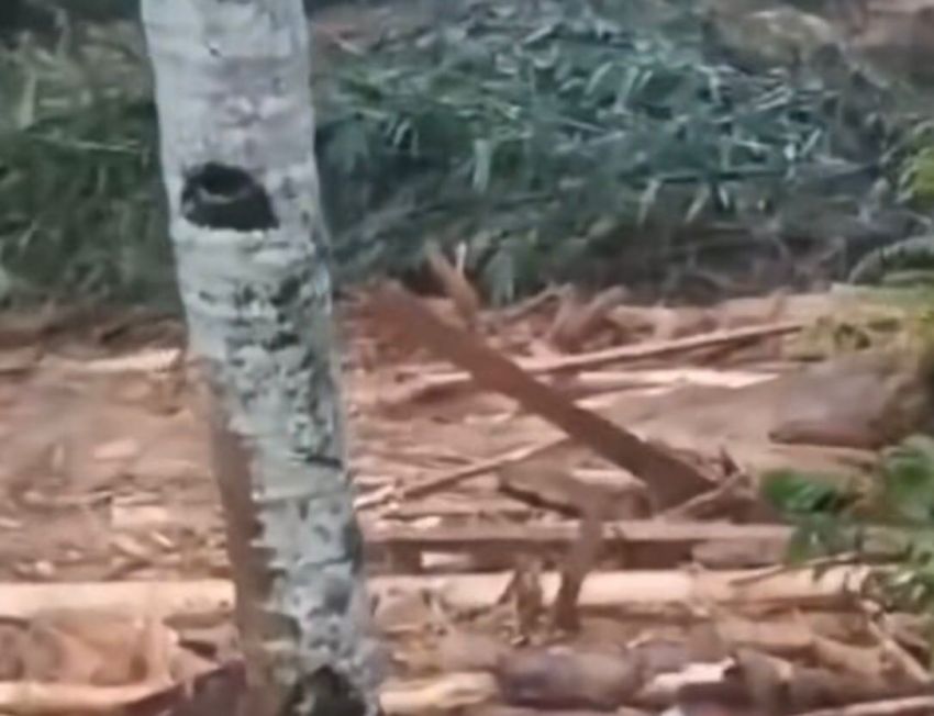 DLHK Sumut Dorong KLHK Lebih Selektif Beri Izin Pengelolaan Hutan Usai Banjir Bandang Tapteng