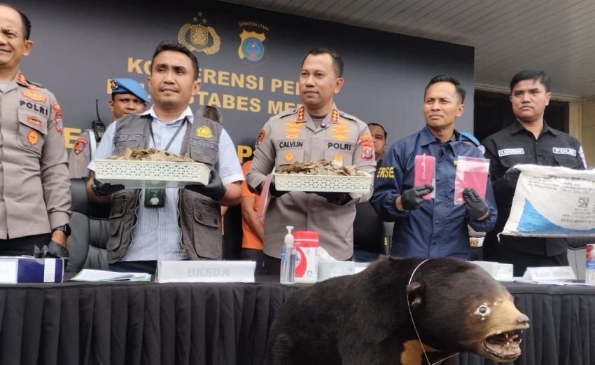 Polrestabes Ungkap Penjualan Beruang Madu dan Sisik Trenggiling