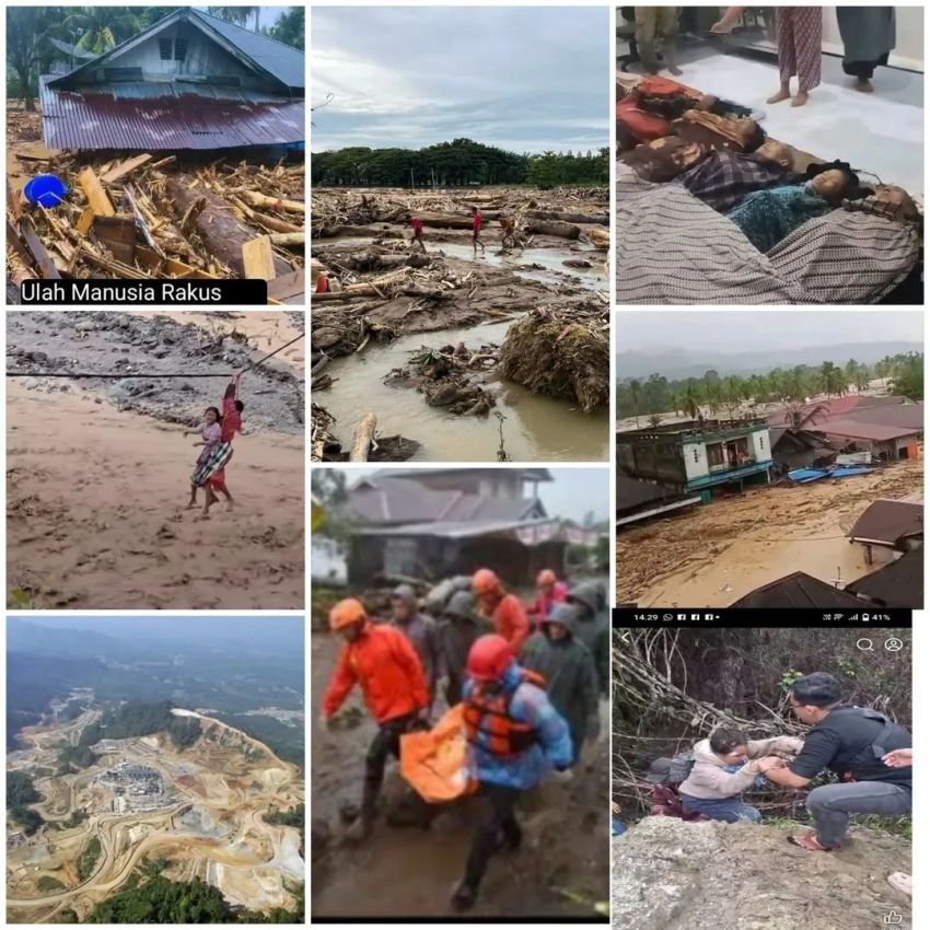 Bencana Tapanuli: WALHI Soroti Tujuh Perusahaan Pemicu Kerusakan, BNPB Pastikan 116 Korban Jiwa