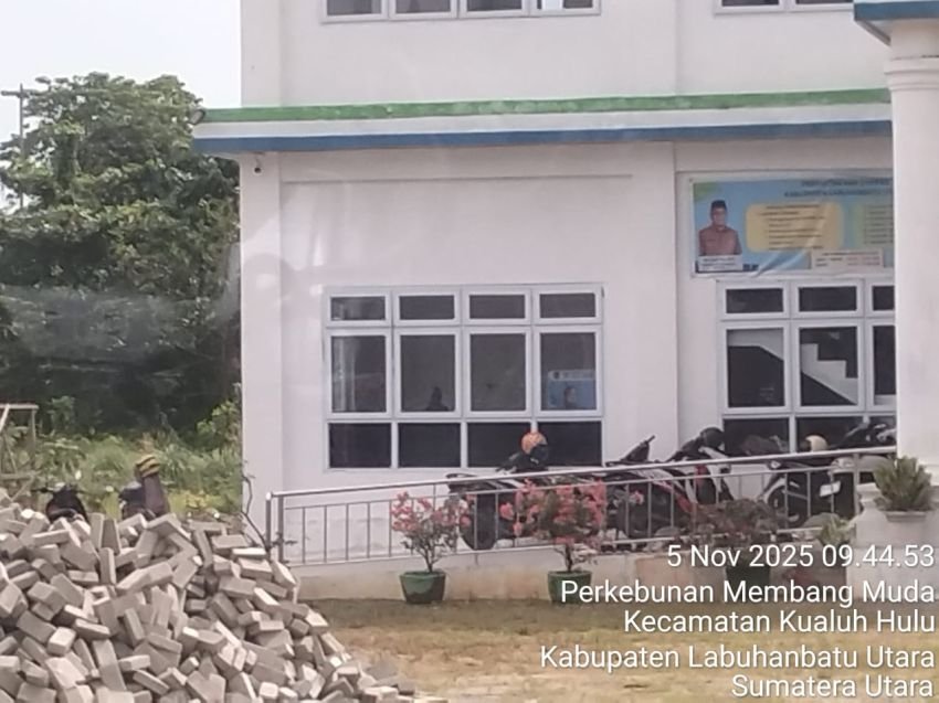 GEMA CITA Soroti Dugaan Penyimpangan Pengadaan Proyek di DPMPTSP Labura, Minta Aparat Hukum Turun Tangan