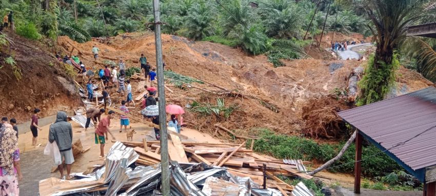 WALHI Soroti Pembukaan Hutan Batang Toru, Bupati Tapsel Ingatkan Dampak Bencana