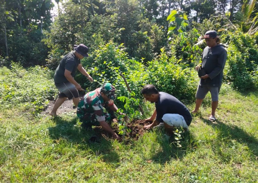 Jaga Kelestarian Lingkungan, Babinsa Gogodeso Bersama Warga Tanam Pohon Keras