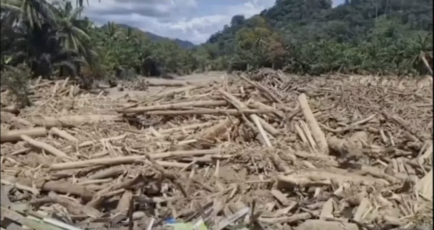 KORSA Desak APH Periksa Eks Kadis LHK Sumut, Kepala KPH X dan XI, hingga Kabid Terkait Banjir Bandang dan Temuan Kayu Berpotongan Rapi