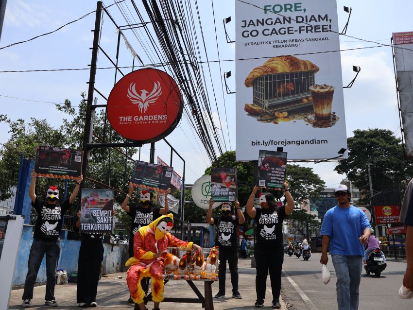 Fore, Jangan Diam, Aktivis Desak Komitmen Cage-Free di Tengah  Tekanan Publik