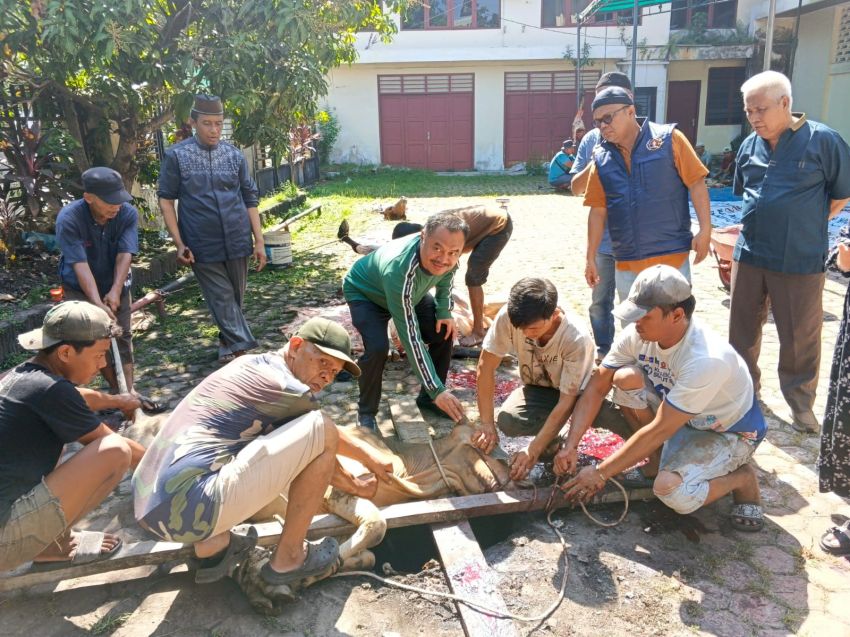 Musa Rajekshah Salurkan Hewan Kurban untuk PWI Sumut