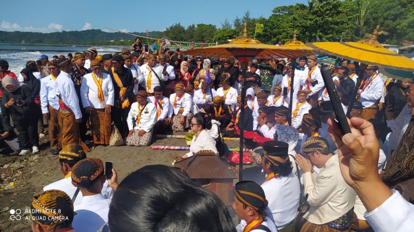 Teluk Penyu Wijayakusuma