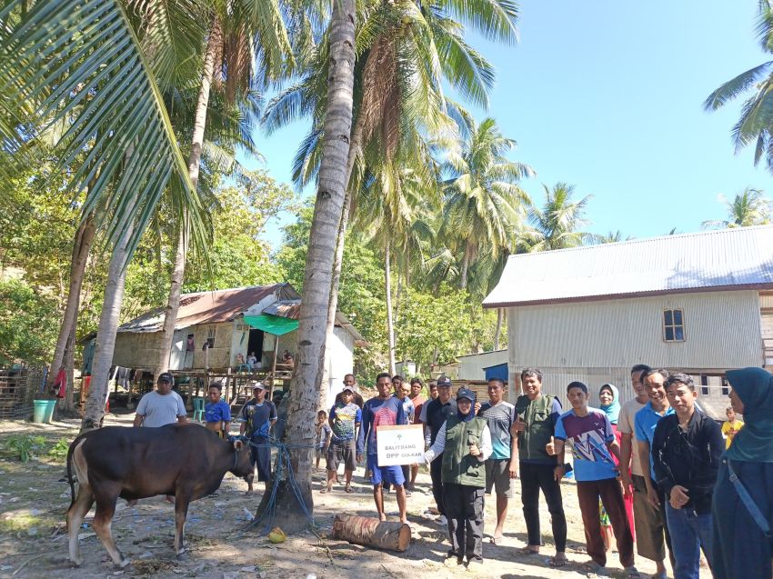 Balitbang DPP Partai Golkar Laksanakan Qurban di Pulau Longos NTT