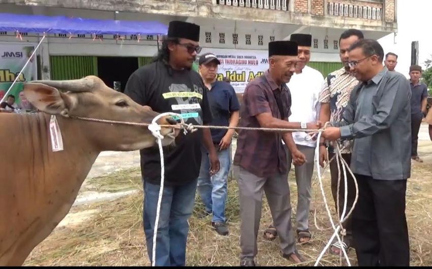 Agrinas dan Pemda Inhu Sembelih 2 Sapi Kurban Bersama JMSI