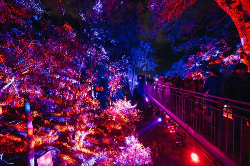 Lightscape Perth 2026 Sulap Kings Park Menjadi Destinasi Musim Dingin Penuh Cahaya dan Keajaiban