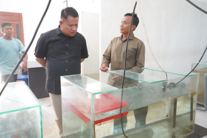 Sisa Makanan Berubah Jadi Pakan Ternak, Inovasi KKN UGM di Asahan Raih Apresiasi Wakil Bupati
