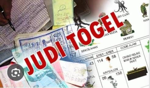 Oknum Wakil Rakyat Diduga Modali Judi Togel, AWI : Ketua DPRD Segera Ambil Sikap